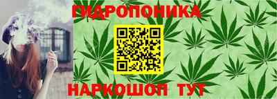 таблы Кимры