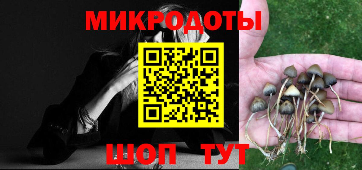 Галлюциногенные грибы MAGIC MUSHROOMS  Вход с VPN  Старая Русса 